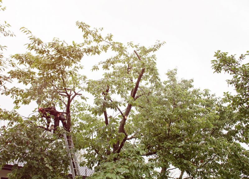 Flower Trimming detail